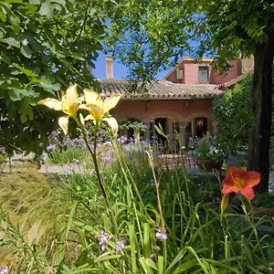 Hotel Lucrezia, Riola Sardo